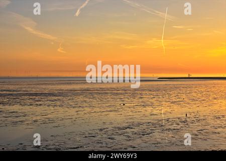 Alba e riflessione sulla foce dell'Elba vicino a Otterndorf nella bassa Sassonia. In primo piano il Mare di Wadden nel Parco Nazionale del Mare di Wadden. Foto Stock