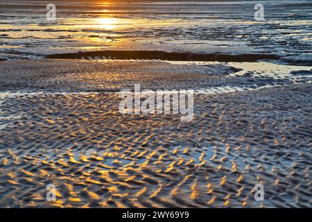 Alba e riflessi sulla foce dell'Elba nelle distese fangose vicino a Otterndorf, nella bassa Sassonia, nel Parco Nazionale del Mare di Wadden. Foto Stock