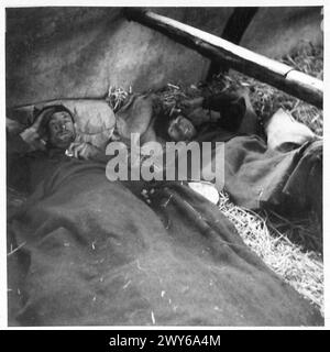 LE TRUPPE IN AVANZATA RAGGIUNGONO CELLE - due francesi hanno rilasciato prigionieri troppo deboli per muoversi. , British Army, 21st Army Group Foto Stock