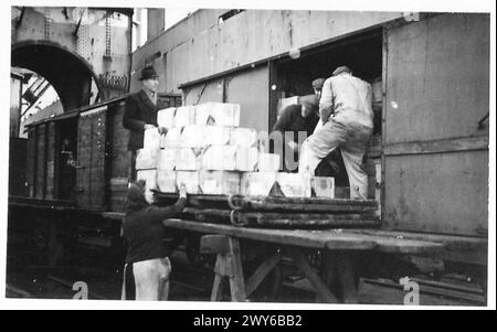 PORTO DI ANVERSA IN PIENO SVOLGIMENTO, il tocco della donna, incolla i vicoli sulle scatole mentre il suo menfolk fa il lavoro pesante. , British Army, 21st Army Group Foto Stock