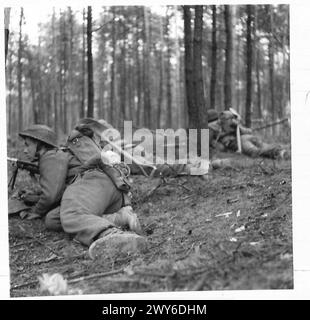 Le truppe scozzesi nell'esercito britannico avanzano attraverso i boschi sul Reno, tentando di localizzare i cecchini nemici durante le operazioni militari. Foto Stock