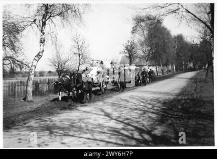 AVANZATA DELL'UNDICESIMA DIVISIONE CORAZZATA - Un convoglio di rifugiati tedeschi arriva con una bandiera bianca su un carro trainato da buoi. , British Army, 21st Army Group Foto Stock