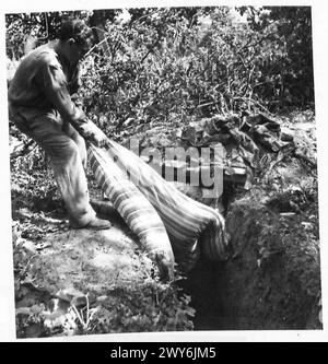 Una FAMIGLIA FRANCESE TORNA AL LORO VILLAGGIO LACERATO DAL GUSCIO - Andre e Rene recuperano alcuni dei letti che i tedeschi avevano preso dalle case del villaggio fino alle loro trincee. , British Army, 21st Army Group Foto Stock