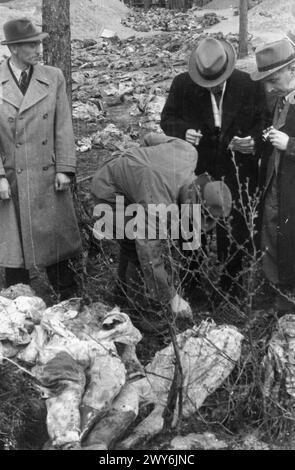 I membri della Commissione medica Internazionale, tra cui il dottor Reimond Speleers e il dottor Vincenzo Palmieri, esaminano i corpi riesumati di ufficiali polacchi uccisi nel massacro di Katyn del 1940. Foto Stock
