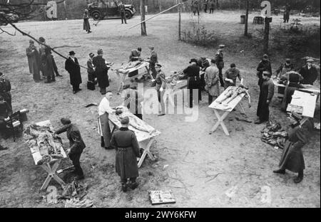 Dr. Helge Tramsen, procuratore presso l'Istituto di Medicina legale di Copenaghen, con membri della Commissione medica Internazionale che esaminano gli organismi degli ufficiali polacchi sui tavoli dei cavalletti durante l'indagine del massacro di Katyń del 1940. Foto Stock