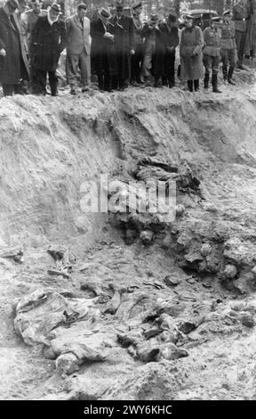 Membri della Commissione medica internazionale che ispezionano una fossa comune con ufficiali polacchi parzialmente sepolti nella foresta di Katyn, 1940. Foto Stock