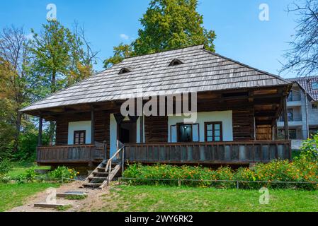 Case storiche al Museo del Villaggio Bucovina a Suceava, Romania Foto Stock