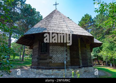 Case storiche al Museo del Villaggio Bucovina a Suceava, Romania Foto Stock