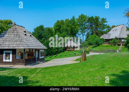 Case storiche al Museo del Villaggio Bucovina a Suceava, Romania Foto Stock