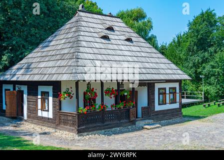 Case storiche al Museo del Villaggio Bucovina a Suceava, Romania Foto Stock