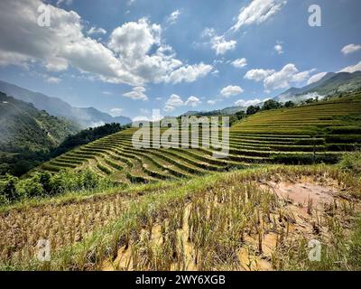 Vista panoramica dei campi di riso terrazzati a Sapa, Vietnam Foto Stock