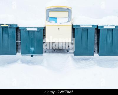 Una fila di cassette postali verdi parzialmente sepolte in uno spesso strato di neve bianca si distingue contro uno sfondo ventoso. Una casella postale gialla si trova al centro di t Foto Stock