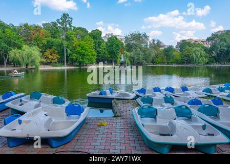 Barche a remi al parco Cismigiu nel centro di Bucarest, Romania Foto Stock