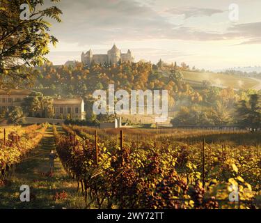 Il vigneto si estende sotto un cielo limpido, con un castello lontano sullo sfondo. Foto Stock