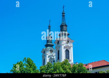 St Cattedrale di Nicola a Sremski Karlovci in Serbia Foto Stock