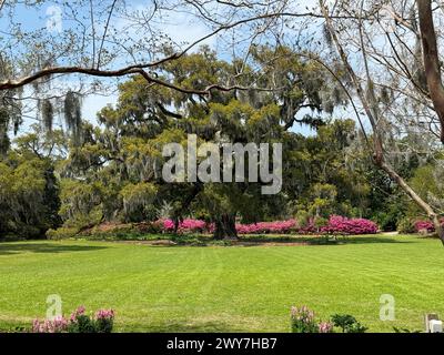 Un ampio parco con lussureggiante erba verde e fiori colorati Foto Stock