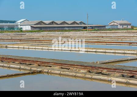 Vista del parco naturale Secovje Saltpans in Slovenia Foto Stock