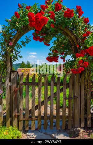Giardino di erbe presso il monastero di Olimje in Slovenia Foto Stock