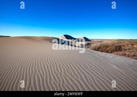 Motivi sulla sabbia al Bruneau Dunes State Park, Idaho Foto Stock