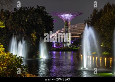Fontane del lago Dragon Fly Singapore Foto Stock