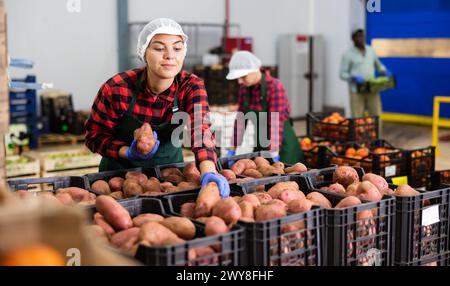 Ragazza allegra che controlla la qualità e ordina le patate nel magazzino Foto Stock