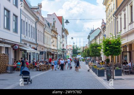Oradea, Romania, 10 agosto 2023: Via pedonale nel centro della città rumena di Oradea Foto Stock