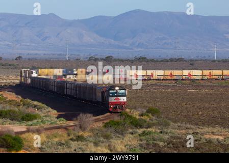 Treno merci che trasporta container attraverso un deserto con montagne sullo sfondo sotto un cielo azzurro Foto Stock