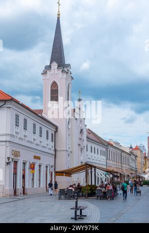 Oradea, Romania, 10 agosto 2023: Via pedonale nel centro della città rumena di Oradea Foto Stock