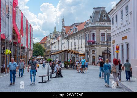 Oradea, Romania, 10 agosto 2023: Via pedonale nel centro della città rumena di Oradea Foto Stock