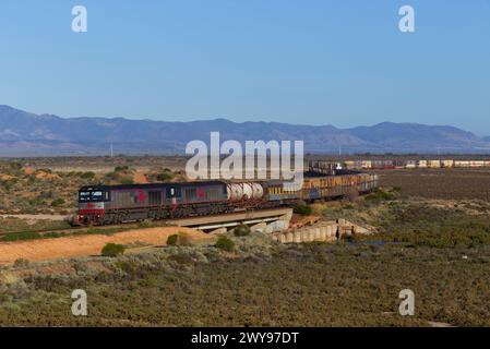 Treno merci che trasporta container attraverso un deserto con montagne sullo sfondo sotto un cielo azzurro Foto Stock