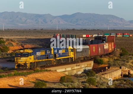 Treno merci che trasporta container attraverso un deserto con montagne sullo sfondo sotto un cielo azzurro Foto Stock