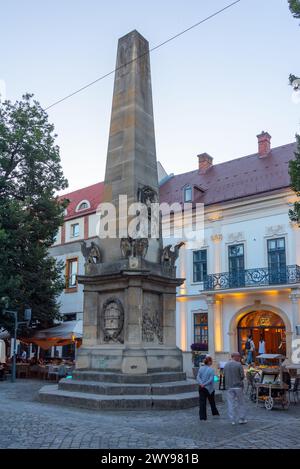 Cluj-Napoca, Romania, 12 agosto 2023: Vista al tramonto della colonna Carolina nella città vecchia di Cluj-Napoca, Romania Foto Stock
