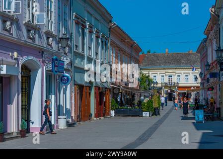 Novi Sad, Serbia, 24 luglio 2023: Via nel centro della città serba Novi Sad Foto Stock