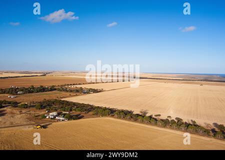 Antenna della mietitrebbiatrice per la raccolta del grano nei pressi di Tumby Bay Eyre Peninsula, Australia meridionale Foto Stock