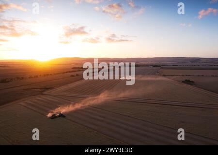 L'antenna sopra la mietitrebbia raccoglie un campo di grano al tramonto vicino alla penisola di Eyre, Australia meridionale, a Tumby Bay Foto Stock