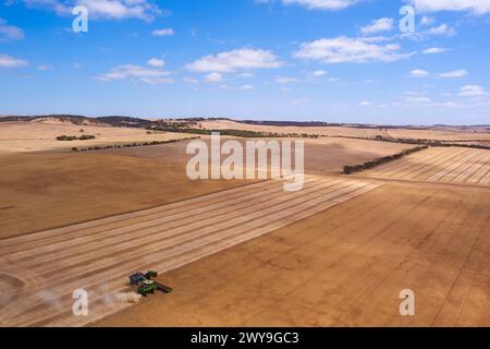 La mietitrebbiatrice aerea che raccoglie un campo di grano vicino a Tumby Bay Eyre Peninsula, Australia meridionale Foto Stock