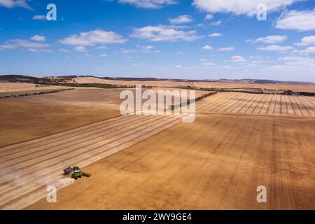 La mietitrebbiatrice aerea che raccoglie un campo di grano vicino a Tumby Bay Eyre Peninsula, Australia meridionale Foto Stock