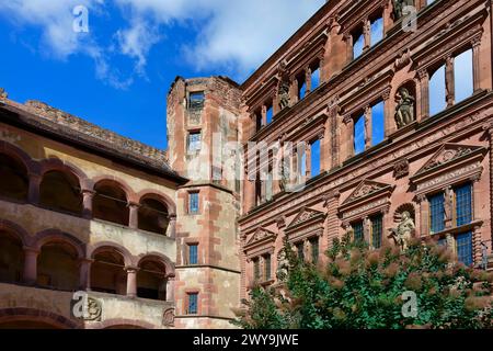 Castello di Heidelberg, ala Friedrich, Museo della Farmacia della Germania e sala di vetro, Heidelberg, Baden Wurttemberg, Germania, Europa Copyright: G&MxThe Foto Stock