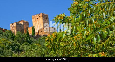 Vista di la Alhambra dal quartiere di Albaicín, Albaycín, Albayzín, sito patrimonio dell'umanità dell'UNESCO, Granada, Andalucía, Spagna, Europa Foto Stock
