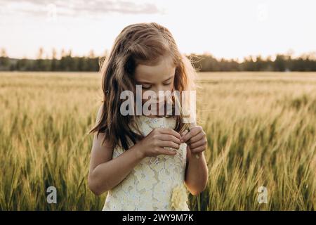 La ragazza in un campo di grano sta guardando le punte Foto Stock