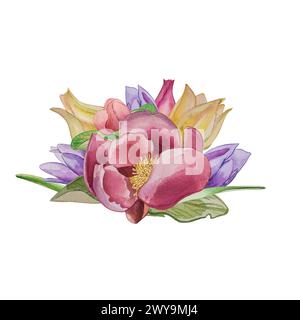 Peonie rosa, tulipani gialli, primrose lilla, fiori primaverili, petali e foglie sono dipinti ad acquerello su sfondo bianco. Per la progettazione grafica. Foto Stock