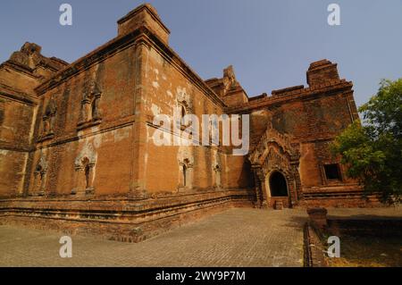 Tempio di Dhammayangyi, Bagan Pagan, sito patrimonio dell'umanità dell'UNESCO, Myanmar, Asia Copyright: MichaelxSzafarczyk 1235-1106 Foto Stock