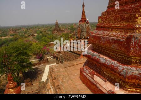 Vista elevata dei templi di Bagan, Bagan Pagan, patrimonio dell'umanità dell'UNESCO, Myanmar, Asia Copyright: MichaelxSzafarczyk 1235-1120 Foto Stock