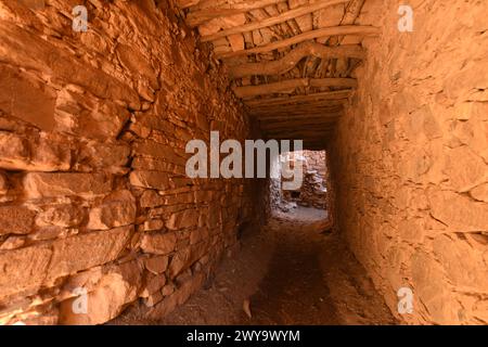 Granaio berbero, Agadir Tashelhit, sotto forma di fortezza, montagne anti-Atlante, Marocco, Nord Africa, Africa Copyright: MichaelxSzafarczyk 1235-12 Foto Stock