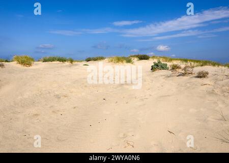 Dune di sabbia sulla spiaggia di Marmari sull'isola di Kos. Grecia Foto Stock