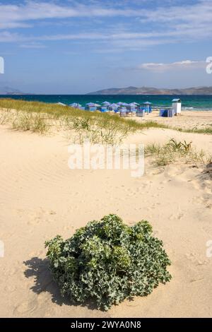 Dune di sabbia sulla spiaggia di Marmari sull'isola di Kos. Grecia Foto Stock