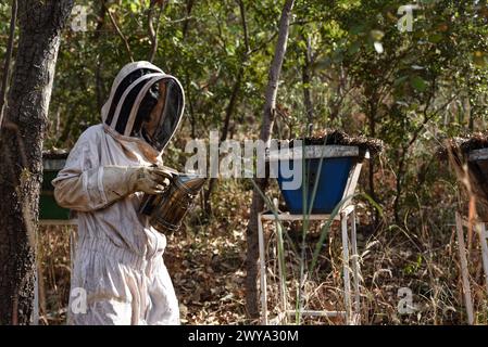 © Nicolas Remene/le Pictorium/MAXPPP - Bamako 08/11/2023 Nicolas Remene/le Pictorium - 08/11/2023 - Mali/District de Bamako/Bamako - un apiculteur avec son enfumoir a abeilles travaille sur des ruches situees sur une colline arboree a Bamako au Mali, le 8 novembre 2023. Il y fabrique plusieurs miels naturels suivant les saisons. - Valeurs ACtuelles out, no jdd, jdd out, RUSSIA OUT, NO RUSSIA #norussia/08/11/2023 - Mali/Bamako District/Bamako - Un apicoltore con il suo fumatore di api lavora su alveari situati su una collina boscosa a Bamako, Mali, l'8 novembre 2023. Fa un vario Foto Stock