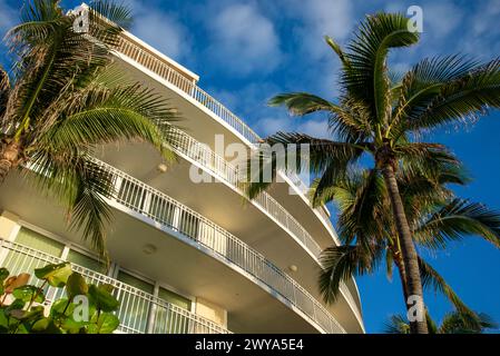 Un angolo verso l'alto di un balcone di un edificio, palme e un cielo blu limpido. Foto Stock