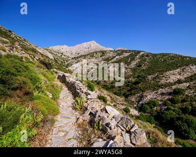 Sentiero per il Monte ZAS o Zeus, isola di Naxos, Cicladi, isole greche, Grecia, Europa Copyright: KarolxKozlowski 1245-3634 Foto Stock