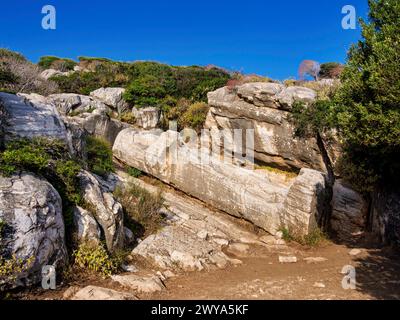 Statua di Dioniso, cava arcaica di marmo, Apollonas Kouros, isola di Naxos, Cicladi, isole greche, Grecia, Europa Copyright: KarolxKozlowski 1245-364 Foto Stock